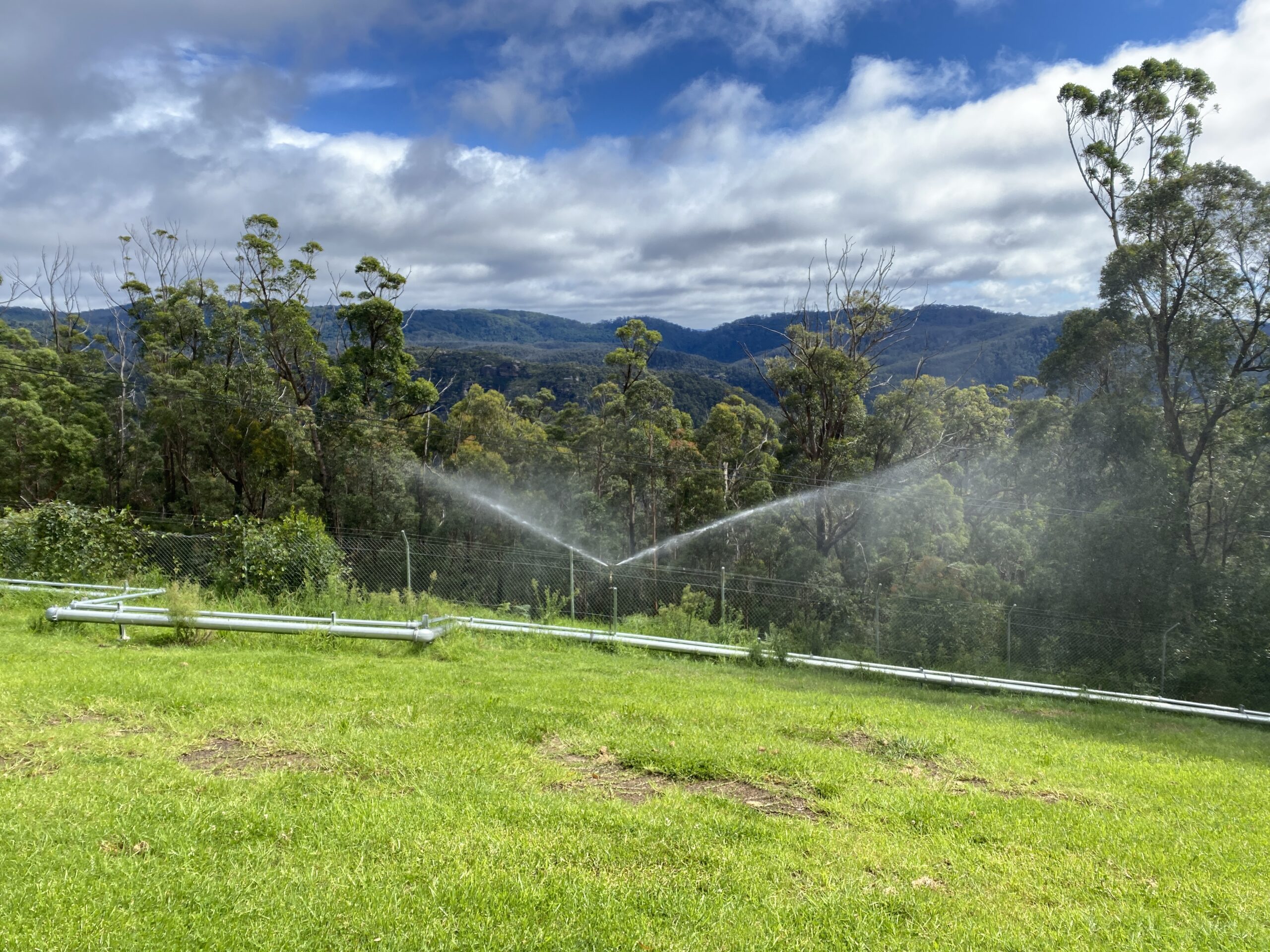 Sprinklers in Action